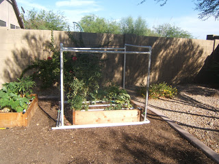 0020_20121016_0742_PvcBirdNettingCage.jpg